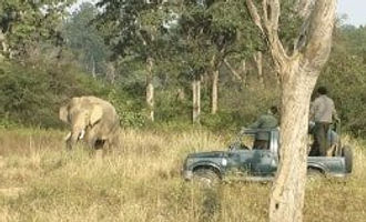 durga-devi-zone-corbett-300x158.jpg