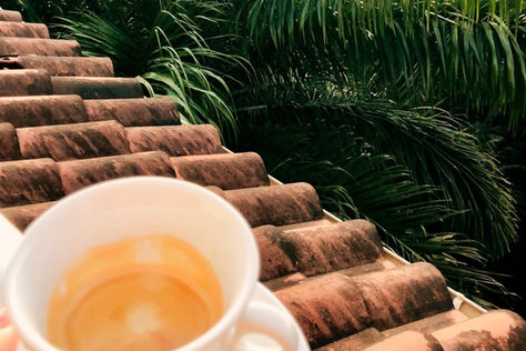 Your Tropical Coffee Crawl Guide to Tamarindo