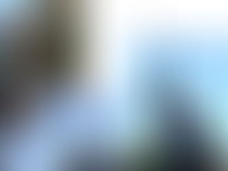 Lantaarnpaalbloemen Strijpsestraat