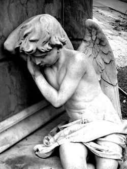 Sueño del Angel 3/3