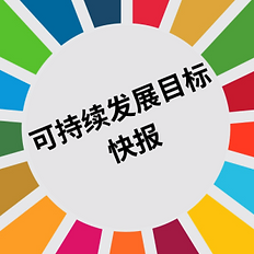 4-e1705537900266-300x300.png