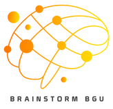 Brainstorm_IL_Orange (1).png
