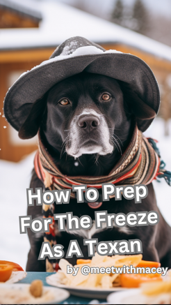 How To Prepare For The Winter Freeze Hitting Texas