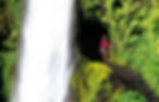 orhike_4-2-pntunnelfalls.jpg