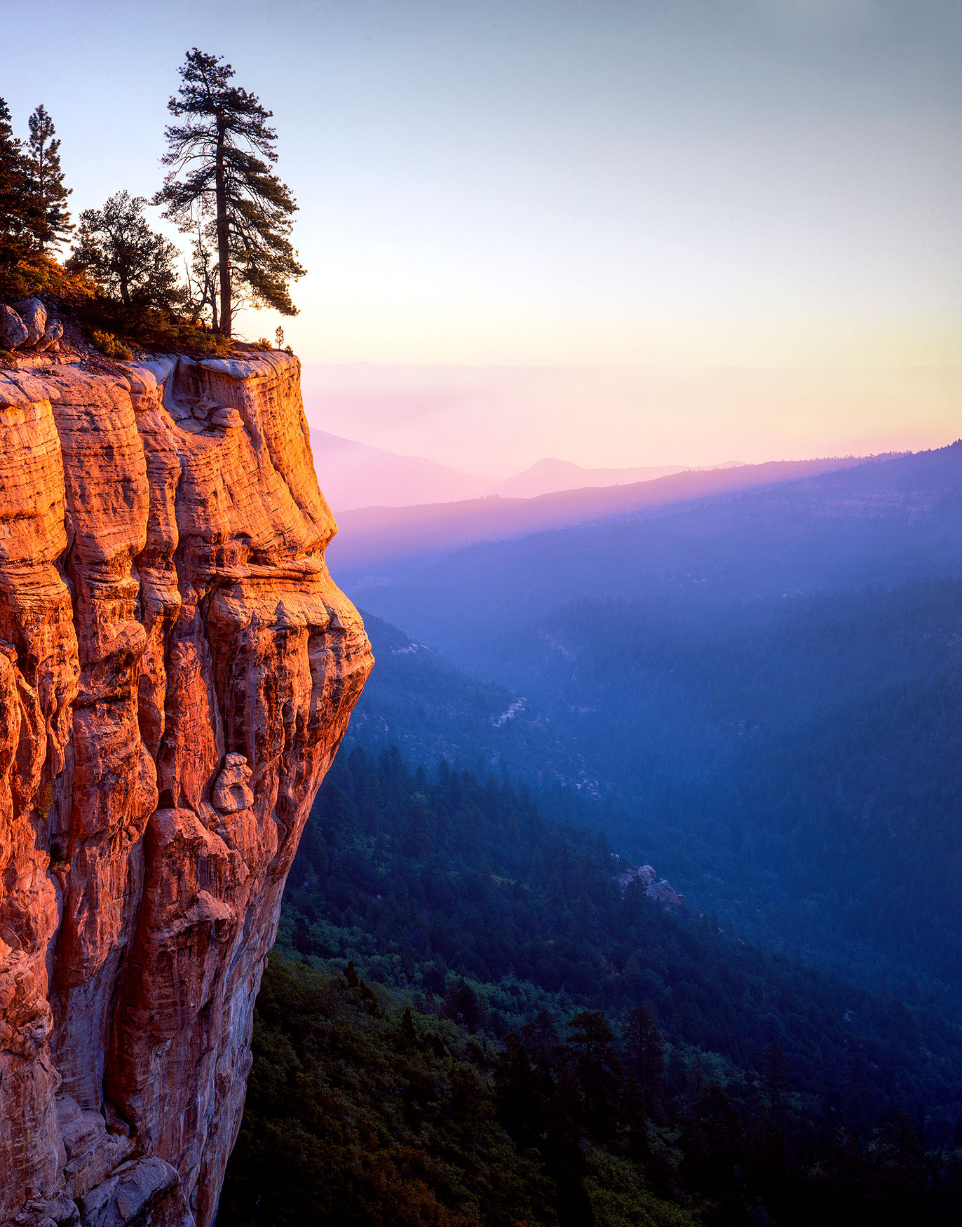 azmts_118-1-web-ready