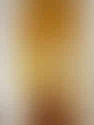 Dulux True Joy yellow corridor idea