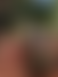 Transform Your Garden: Creative Ideas for a Stunning Outdoor Space