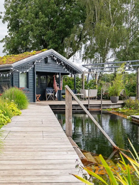 Ultimate guide: How to create a natural, Eco or Bio Pool