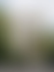 Signs Your Home’s Exterior Is Ready for an Upgrade