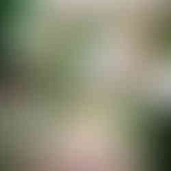 Kitchen with green cabinets, colorful rug, open doors to a patio with plants, patio set, and fireplace. Bright, inviting atmosphere.