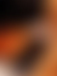 Upgrade Your Cooking Game: Reasons to Choose a Ninja Air Fryer