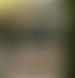 Stone or wood: What is the best material for outdoor furniture?