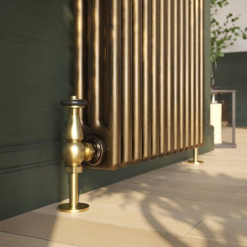 Brass radiator against a dark green wall on light wood flooring. Soft shadows and a plant in the background create a cozy ambiance.