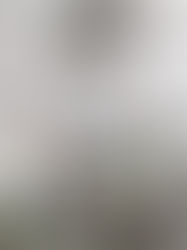 The Secret to a Stunning Home Renovation: Why Behind-the-Scenes Expertise Matters