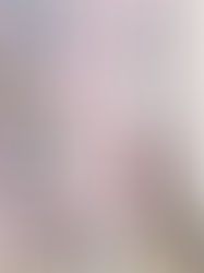 Protecting Your Investment: Essential Exterior Upgrades for Your Home