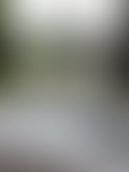 Garden update with Danetti