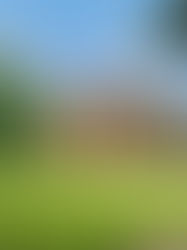 Staying True to a Property's Origins: How to Complement Historic Style