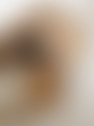 Factors That Affect Wood Selection in Furniture