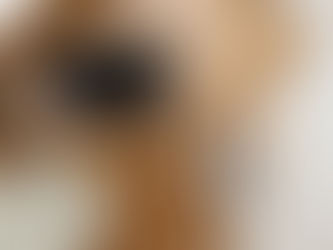 Factors That Affect Wood Selection in Furniture