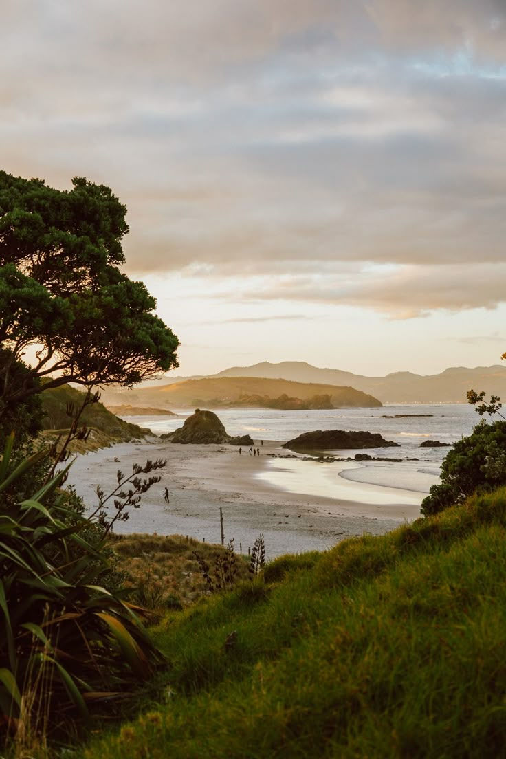 Renovation Highlights From New Zealand