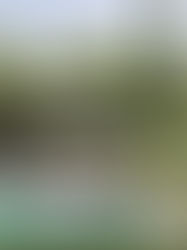 What Makes a House Feel “Right” the Moment You Walk In