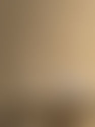 Why Geometric Wallpaper is a Must-Have for a Contemporary Home