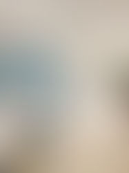 Steps to Create an Organized and Functional Interior