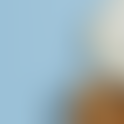 How to Pair Pink and Blue in Interiors