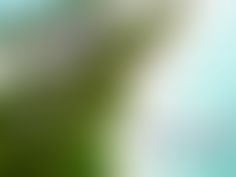 Zero waste travel tips