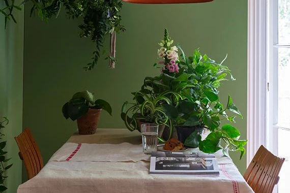 Farrow and Ball Colours 2016 Yeabridge Green