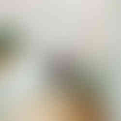 Cozy kitchen with mint green cabinets, wooden countertop, potted plant, and hanging lights. Oven centered, fruit bowl on counter.