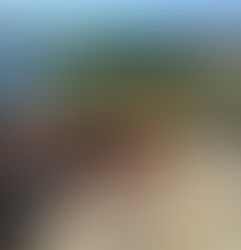 Portuguese Camino: Luxury Accommodation, Top Restaurants, and Must-Visit Sites in Tui, Spain