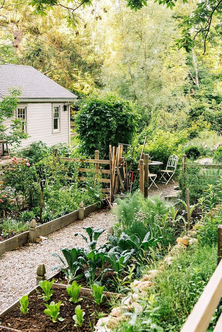 Making the Most of Your Allotment in Autumn