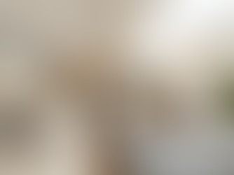 Open-Plan Noise Solutions - Acoustic Design Ideas for Luxury Interiors