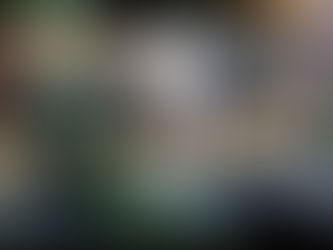 Events: 'Colourful abodes' with Abigail Ahern and Anthropologie