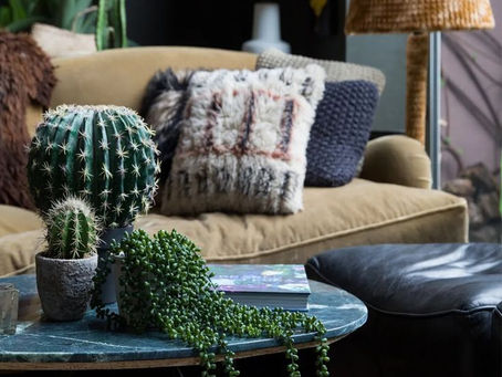 Events: 'Colourful abodes' with Abigail Ahern and Anthropologie