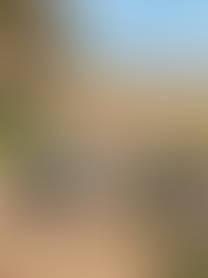 Garden Furniture Collections