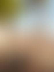 Mediterranean Flair Meets Modern Design: Exploring Portugal’s Real Estate for Stylish Interiors