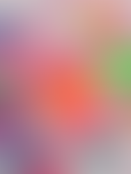 jelly vinyl bag gummy bear colours