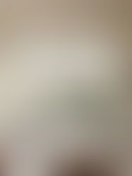 Effortless Living: Why Motorised Blinds Are a Game-Changer for Large Family Homes