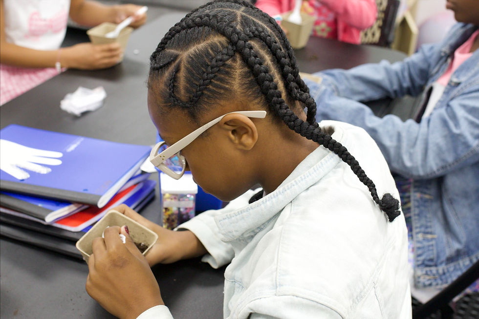 school aged children working on planting seeds during a school activity.