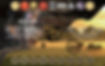 B&B Market Mural (1).jpeg