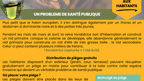 Lutte contre les frelons