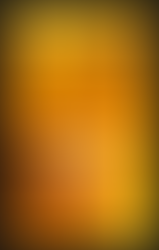 Kortrijkse Internationals Onder de Loep: Resultaten, Statistieken en Samenvattingen van de Interlandperiode