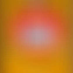 João Silva: De Stille Kracht in de Verdediging van Sport Recife