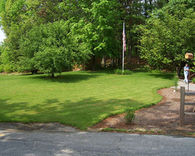 Landscaped green lawn with tree and edged garden