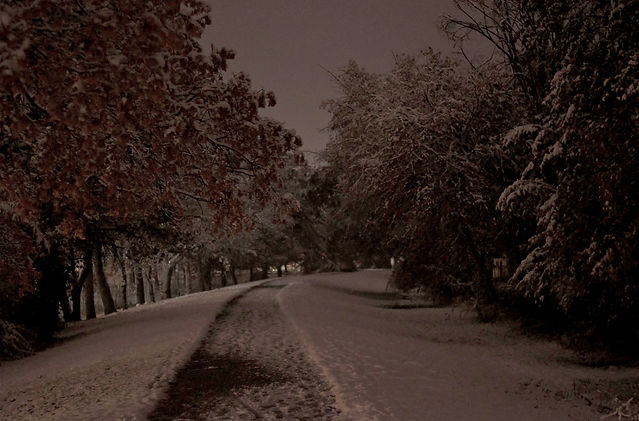 _DSC0012 (2)_edited.jpg