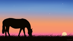 Horse Out at Sunset