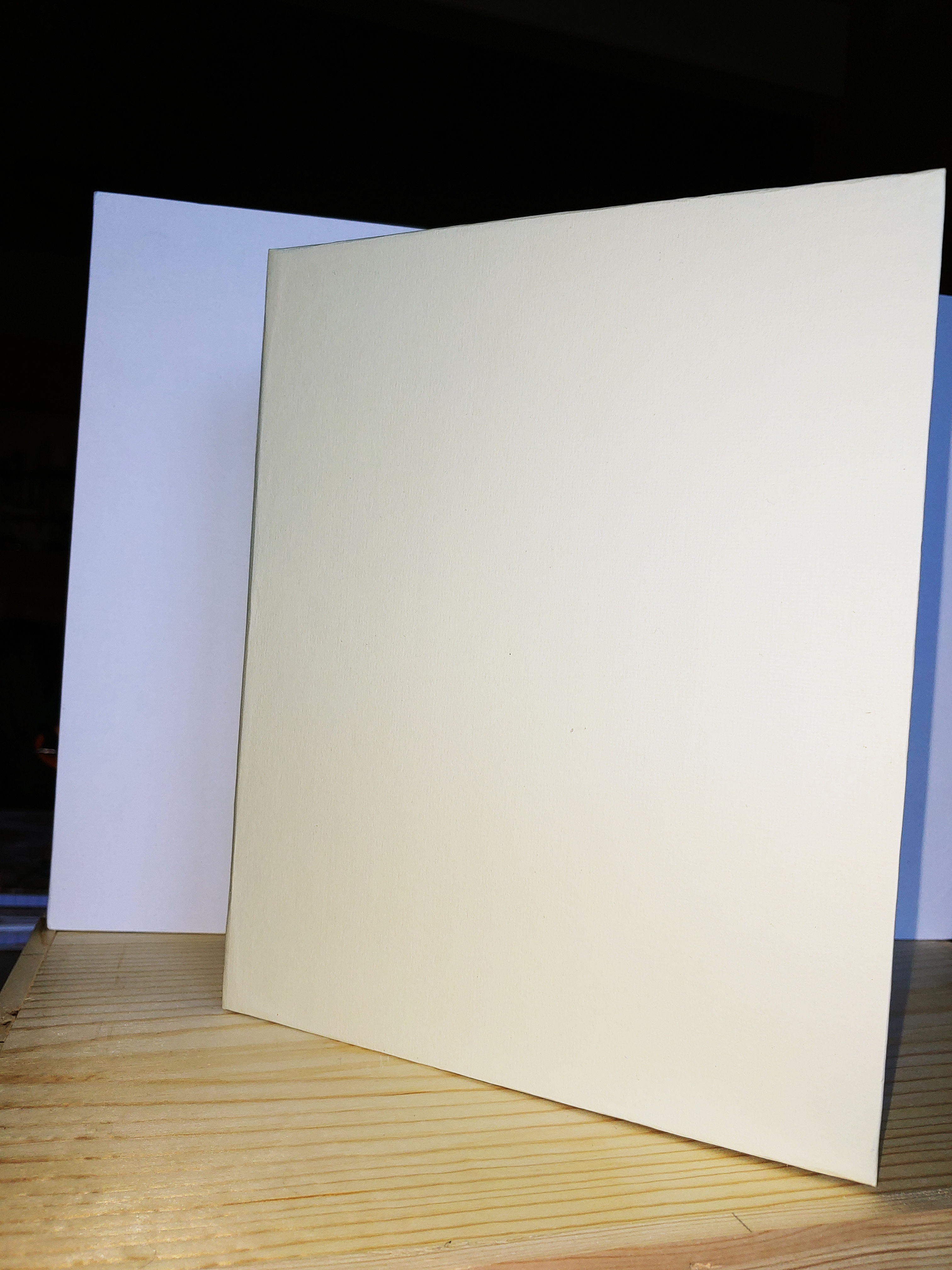 Blank scrapbook