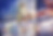 vizehizmeti.png